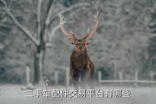 买汽配哪个网站最好用,武汉汽配厂哪个厂最好