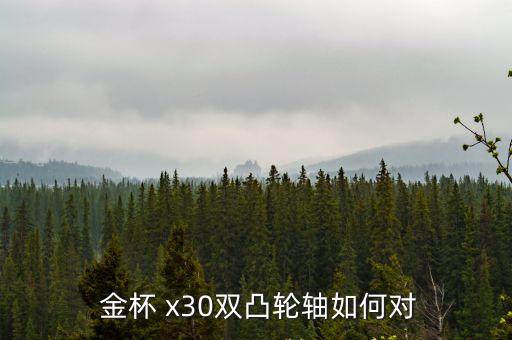  金杯 x30双凸轮轴如何对