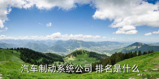  汽车制动系统公司 排名是什么