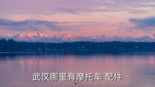 武汉哪里有摩托车 配件