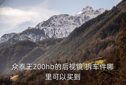 众泰王200hb的后视镜 拆车件哪里可以买到