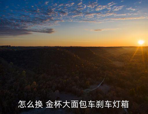 怎么换 金杯大面包车刹车灯箱