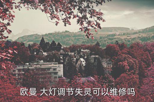  欧曼 大灯调节失灵可以维修吗