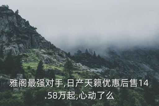 10款天赖仪表台盖板多少钱