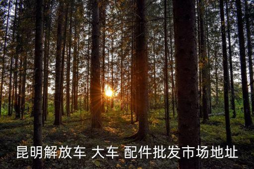 昆明解放车 大车 配件批发市场地址