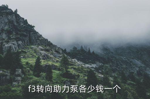 f3转向助力泵各少钱一个