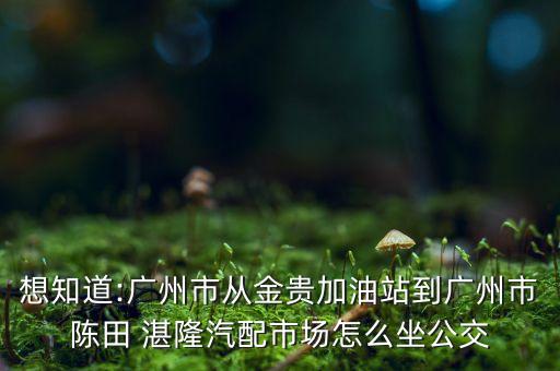 想知道:广州市从金贵加油站到广州市陈田 湛隆汽配市场怎么坐公交