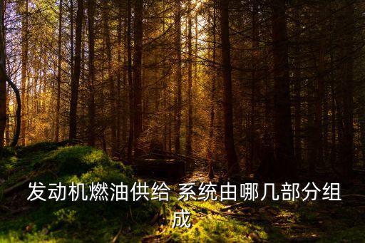  发动机燃油供给 系统由哪几部分组成