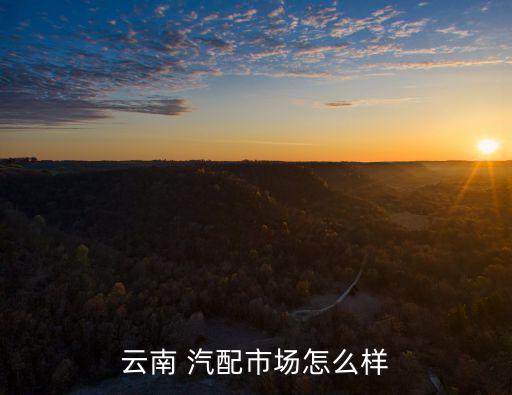 云南 汽配市场怎么样