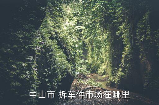 中山市 拆车件市场在哪里