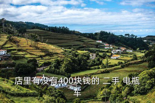 店里有没有400块钱的 二手 电瓶车