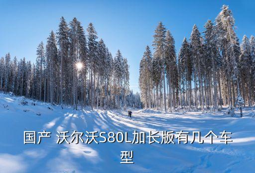 国产 沃尔沃S80L加长版有几个车型