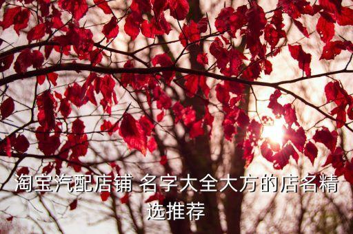 淘宝汽配店铺 名字大全大方的店名精选推荐