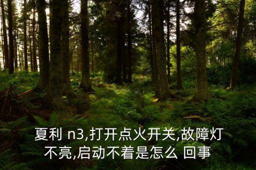  夏利 n3,打开点火开关,故障灯不亮,启动不着是怎么 回事