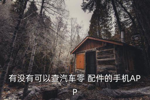 有没有可以查汽车零 配件的手机APP