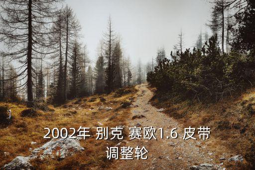 2002年 别克 赛欧1.6 皮带调整轮