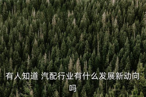 有人知道 汽配行业有什么发展新动向吗
