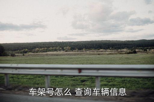  车架号怎么 查询车辆信息