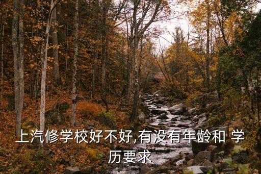 上汽修学校好不好,有没有年龄和 学历要求