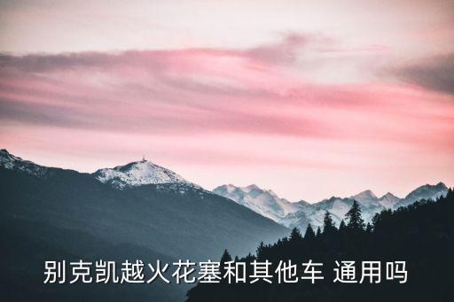 别克凯越火花塞和其他车 通用吗