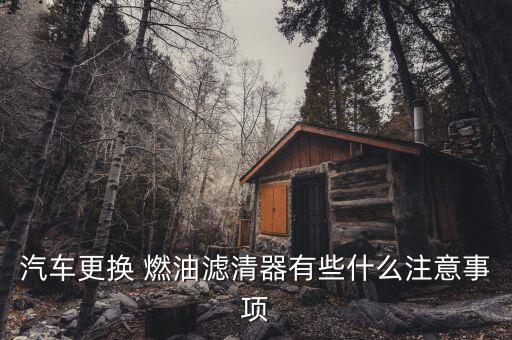 汽车更换 燃油滤清器有些什么注意事项
