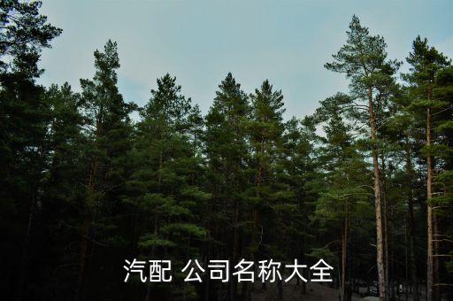  汽配 公司名称大全