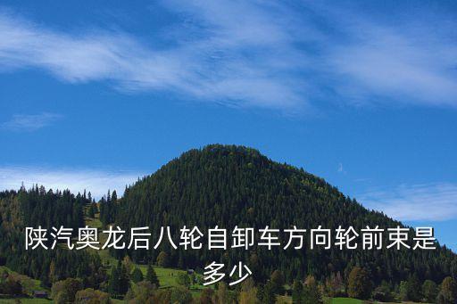  陕汽奥龙后八轮自卸车方向轮前束是多少