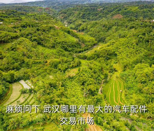 麻烦问下 武汉哪里有最大的汽车配件交易市场