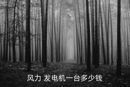 风力 发电机一台多少钱