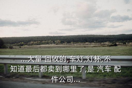 ...大量 回收的,车灯,灯杯,不知道最后都卖到哪里了,是 汽车 配件公司...