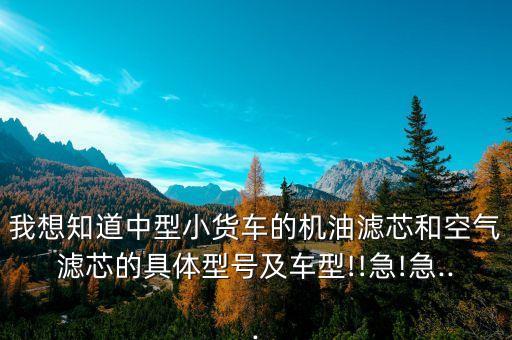 我想知道中型小货车的机油滤芯和空气滤芯的具体型号及车型!!急!急...