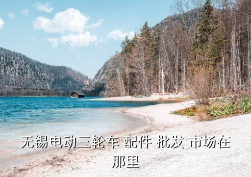 无锡电动三轮车 配件 批发 市场在那里