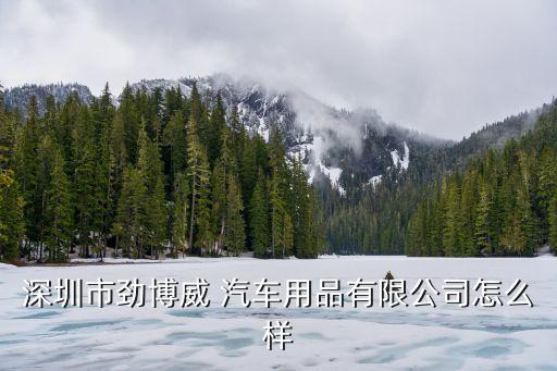 深圳市劲博威 汽车用品有限公司怎么样