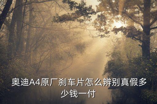  奥迪A4原厂刹车片怎么辨别真假多少钱一付