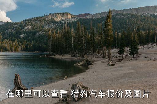 在哪里可以查看 猎豹汽车报价及图片
