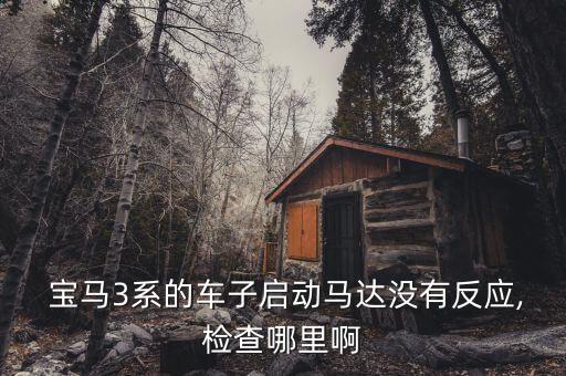  宝马3系的车子启动马达没有反应,检查哪里啊