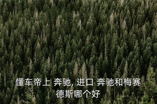懂车帝上 奔驰, 进口 奔驰和梅赛德斯哪个好