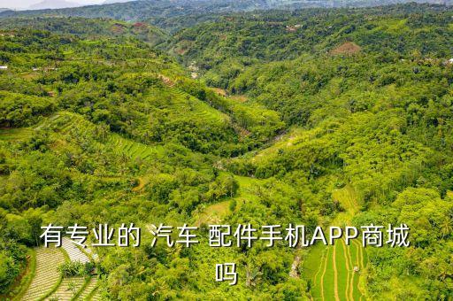 有专业的 汽车 配件手机APP商城吗