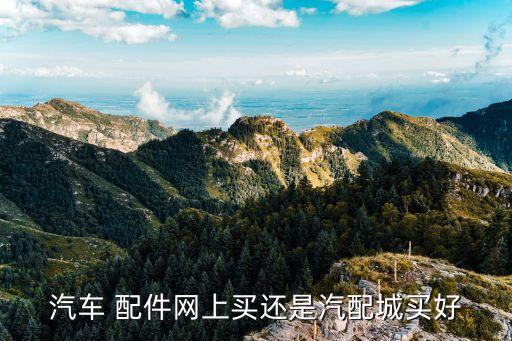 汽车 配件网上买还是汽配城买好