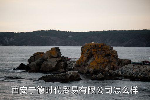 西安宁德时代贸易有限公司怎么样