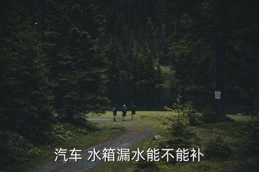 哪个散热器盖和水箱盖图片,汽车水箱散热器哪个牌子好