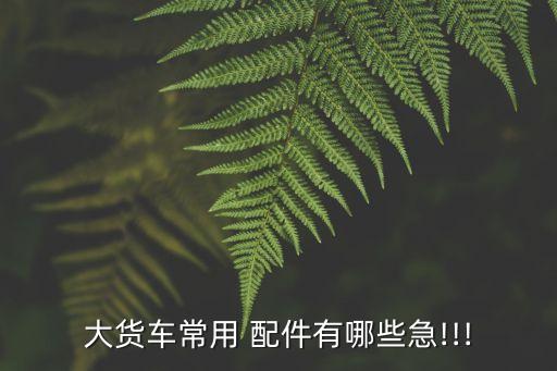 大车配件名称大全,大车司机群名称大全