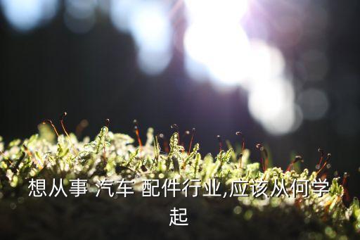 想从事 汽车 配件行业,应该从何学起