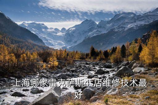  上海哪家雷克萨斯4s店维修技术最好