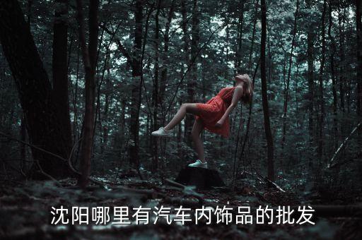 沈阳哪里有汽车内饰品的批发