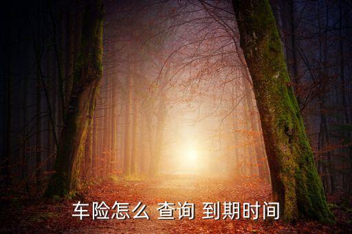 车险怎么 查询 到期时间