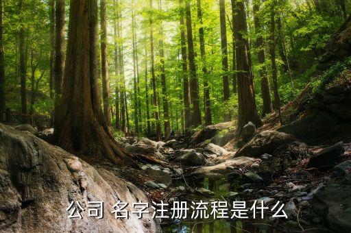 注册个公司名字,注册公司名字怎么取名