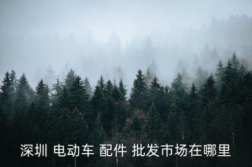 深圳 电动车 配件 批发市场在哪里