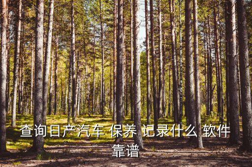 查询日产汽车 保养 记录什么 软件靠谱