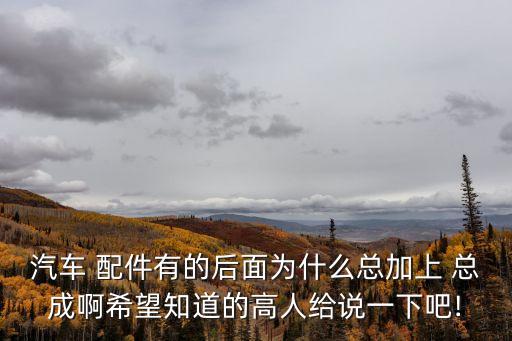 汽车 配件有的后面为什么总加上 总成啊希望知道的高人给说一下吧!